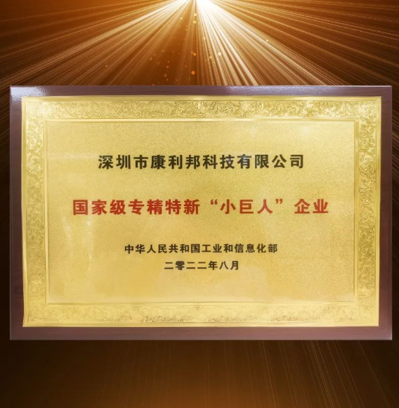 國(guó)家工信部頒發(fā)的國(guó)家級(jí)專精特新“小巨人”